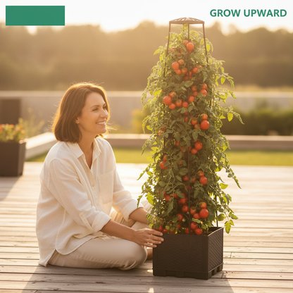 Garden Raised Bed Planter Boxes with Trellis