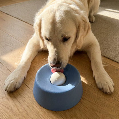 Paw Calm Pup Bowl
