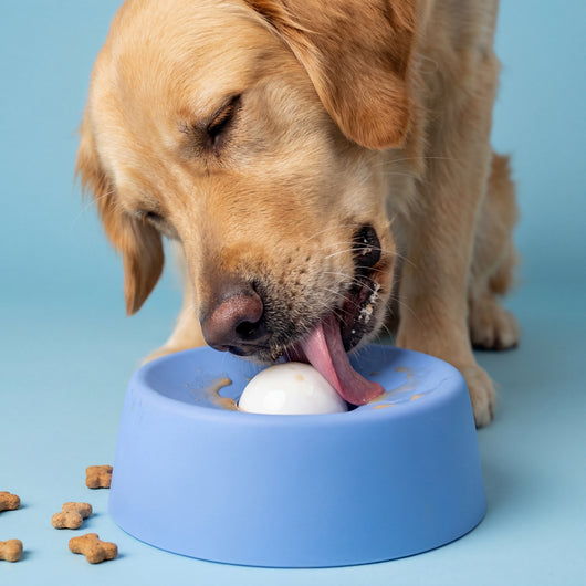 0–60 minutes of calm licking while you finally get some peace